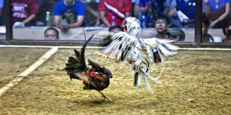 one88 ﻿đăng nhập lô đề uy tín
