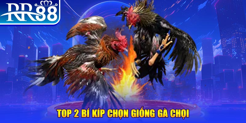 one88 bắn cá h5