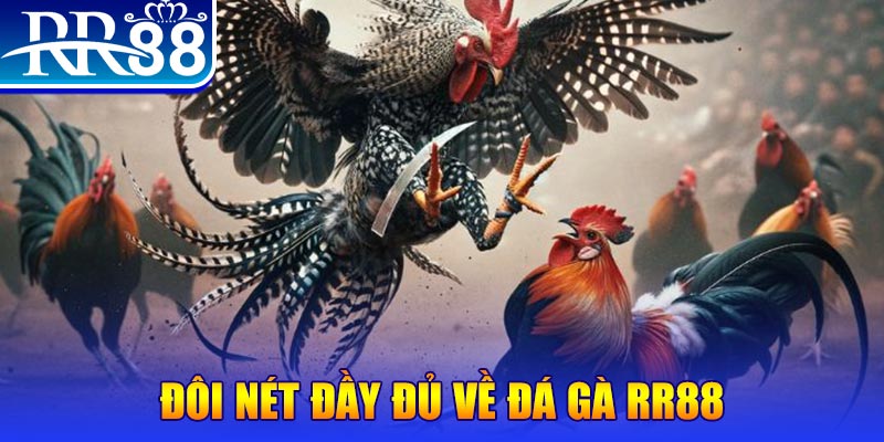 one88 gà chọi hoà phong