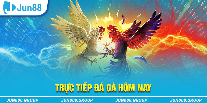 one88 trực tiếp đá gà thomo