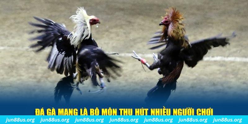 one88 xổ số long an