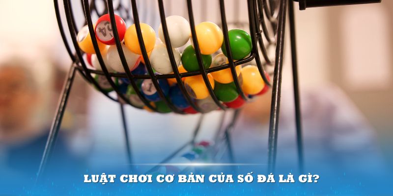 one88 Đĩa màu ace