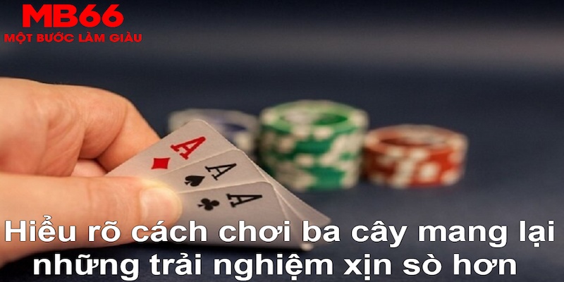 one88 DB Trực Tuyến