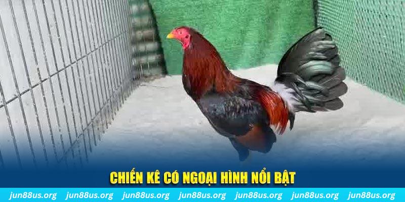one88 nhạc slot là gì